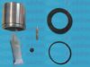 AUTOFREN SEINSA D41784C Repair Kit, brake caliper